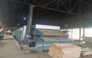 veneer dryer