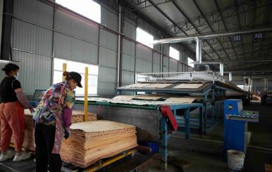 veneer dryer price